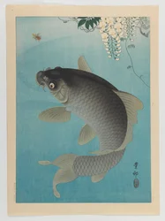 Carpa bajo glicinia, c.1935